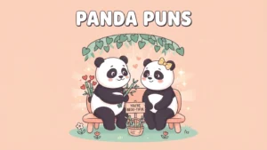 Panda Puns